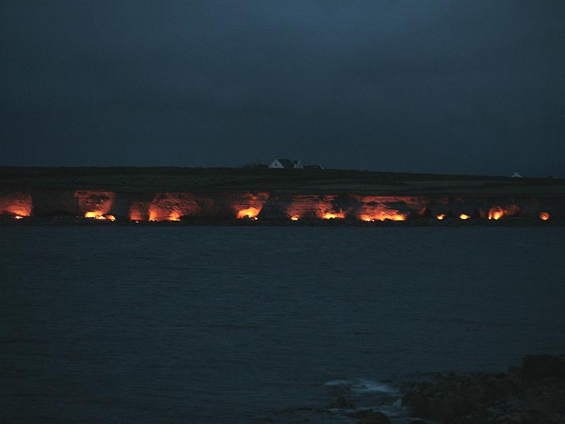 windbreakers, Aughinish, Cliffs, Co. Clare, Irland