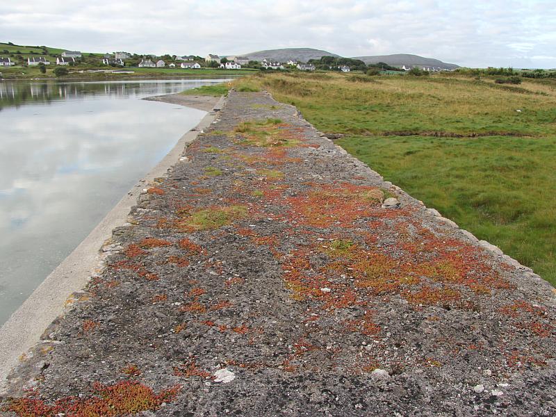 'on the borderline Burren calling', Aughinish, Co. Clare, Irland